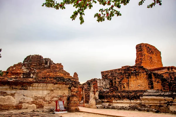 Piedra Ruinas Antiguas Del Templo Wat Mahathat Ayutthaya Tailandia —  Fotos de Stock