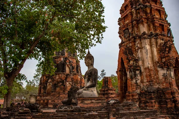 泰国Ayutthaya的Wat Mahathat寺的石制古代遗址 — 图库照片