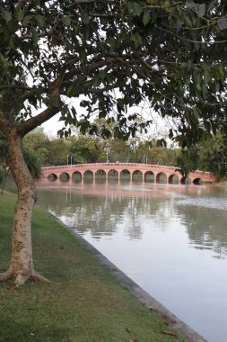 Tayland. Bangkok 'ta. Şehirdeki güzel bir Park manzarası.