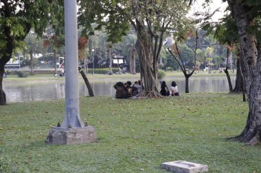 Tayland. Bangkok 'ta. Şehirdeki güzel bir Park manzarası.