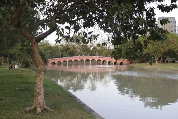 Tayland. Bangkok 'ta. Şehirdeki güzel bir Park manzarası.