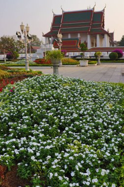 Tayland. Bangkok 'ta. Şehrin güzel bir manzarası.