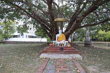 Tayland. Bangkok 'ta. Wat Mahathat Tapınağı