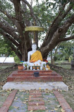 Tayland. Bangkok 'ta. Wat Mahathat Tapınağı