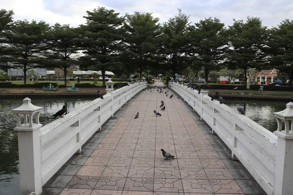 Pombos Ponte Templo Budista Bangkok Tailândia — Fotografia de Stock