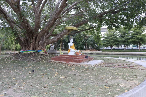 Ταϊλάνδη Μπανγκόκ Ναός Wat Mahathat — Φωτογραφία Αρχείου