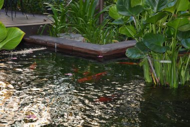 Tayland. Bangkok 'ta. Rambutri Village Oteli