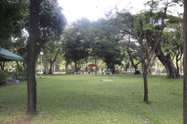 Tayland. Bangkok 'ta. Lumpini Parkı