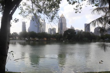 Tayland. Bangkok 'ta. Lumpini Parkı