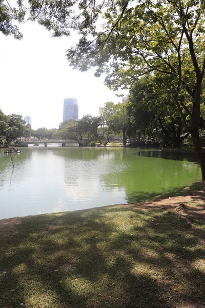 Tajlandia Bangkoku Park Lumpini — Zdjęcie stockowe