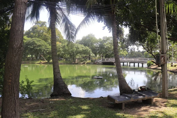 Thailand Bangkok Lumpini Park — Stockfoto