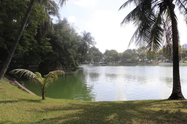 Tailândia Banguecoque Parque Lumpini — Fotografia de Stock