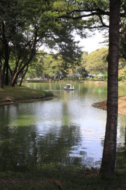 Tayland. Bangkok 'ta. Lumpini Parkı