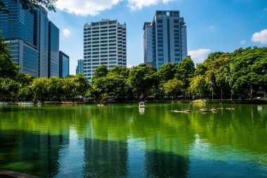 Tayland. Bangkok 'ta. Lumpini Parkı