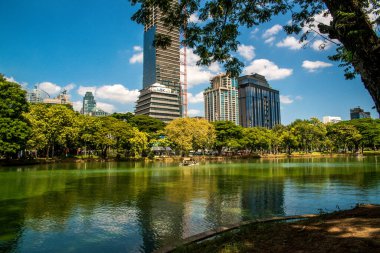 Tayland. Bangkok 'ta. Lumpini Parkı