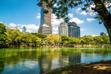Tayland. Bangkok 'ta. Lumpini Parkı