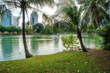 Tayland. Bangkok 'ta. Lumpini Parkı