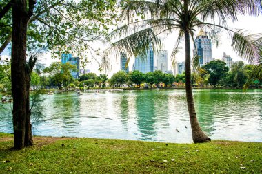 Tayland. Bangkok 'ta. Lumpini Parkı