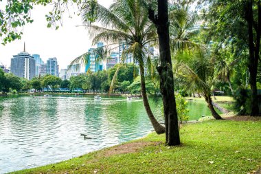 Tayland. Bangkok 'ta. Lumpini Parkı