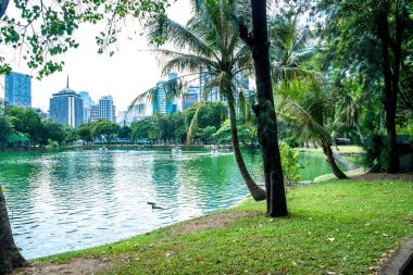 Tayland. Bangkok 'ta. Lumpini Parkı