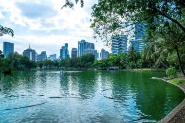 Tayland. Bangkok 'ta. Lumpini Parkı
