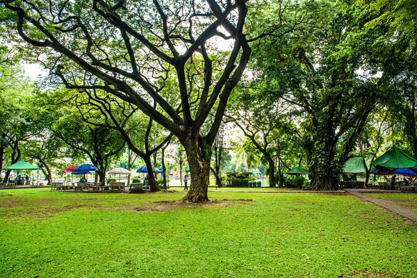 Thailand Bangkok Lumpini Park — Stockfoto