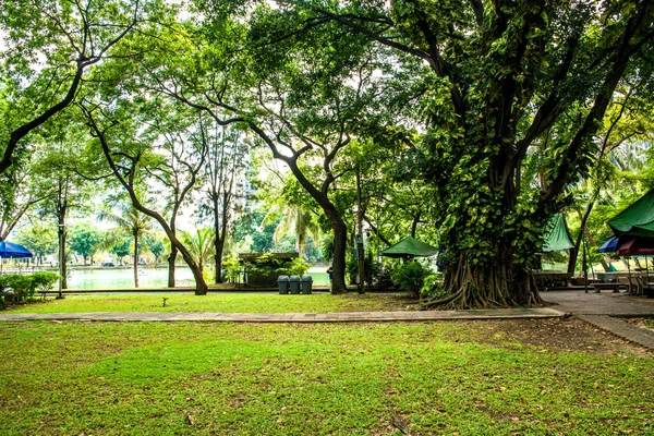 Thailand Bangkok Lumpini Park — Stockfoto