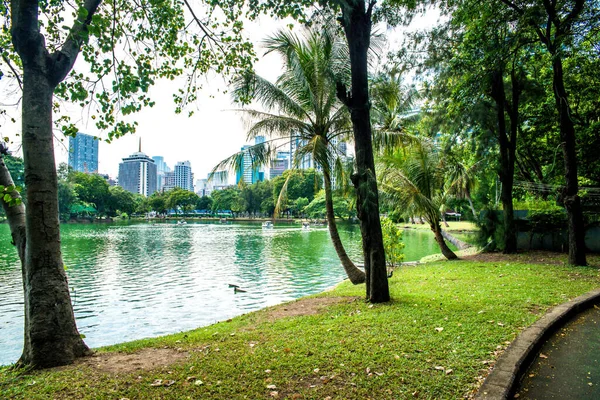 Tajlandia Bangkoku Park Lumpini — Zdjęcie stockowe