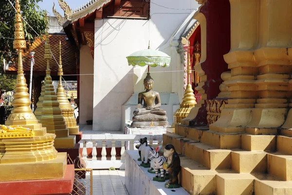 Thaïlande Chiang Mai Vue Temple Bouddhiste — Photo