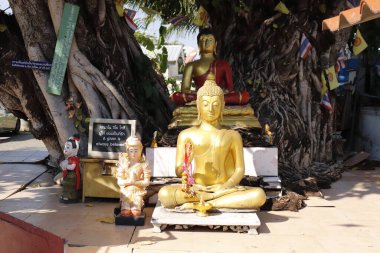 Tayland. Chiang Mai. Şehrin güzel bir manzarası.