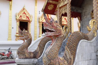 Tayland. Chiang Mai. Şehrin güzel bir manzarası.