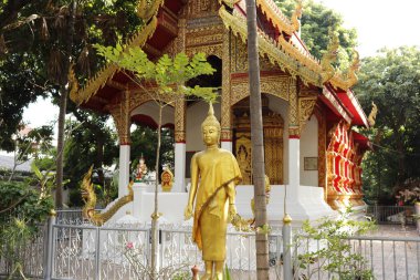 Tayland. Chiang Mai. Şehrin güzel bir manzarası.