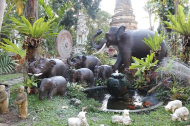 Tayland. Chiang Mai. Şehir 