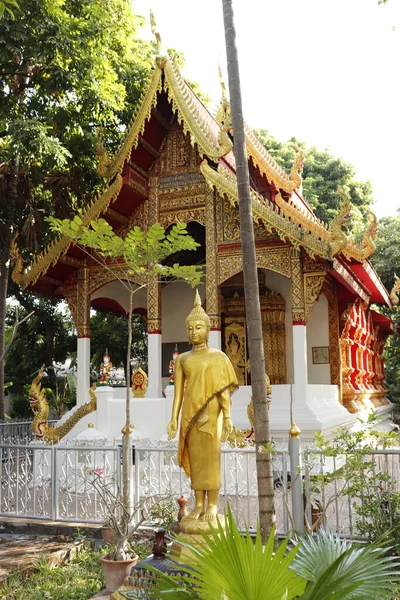 Tailandia Chiang Mai Una Hermosa Vista Ciudad —  Fotos de Stock