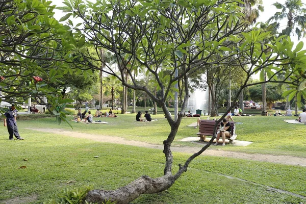 Tailândia Chiang Mai Uma Bela Vista Cidade — Fotografia de Stock