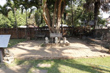 Tayland. Chiang Mai. Bir Budist tapınağı..