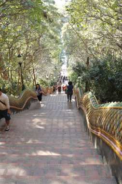 Tayland. Chiang Mai. Wat Doi Suthep tapınağının manzarası..