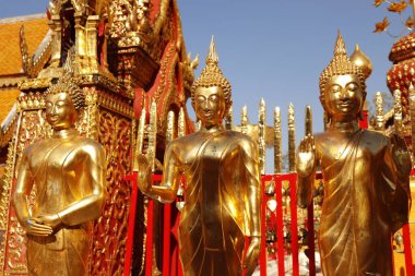 Tayland. Chiang Mai. Wat Doi Suthep tapınağının manzarası..
