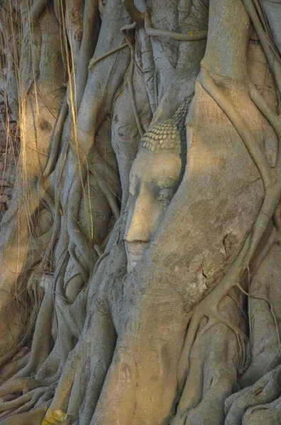 Tailândia Ayutthaya Uma Vista Templo Budista Wat Mahathat — Fotografia de Stock