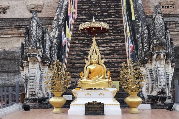 Thaïlande Chiang Mai Une Vue Temple Wat Chedi Luang — Photo