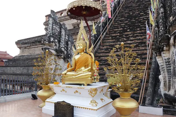 Thaïlande Chiang Mai Une Vue Temple Wat Chedi Luang — Photo