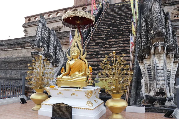 Thailand Det Chiang Mai Över Wat Chedi Luang Temple — Stockfoto