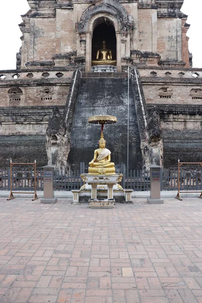 Tajlandia Chiang Mai Widok Wat Chedi Luang Temple — Zdjęcie stockowe