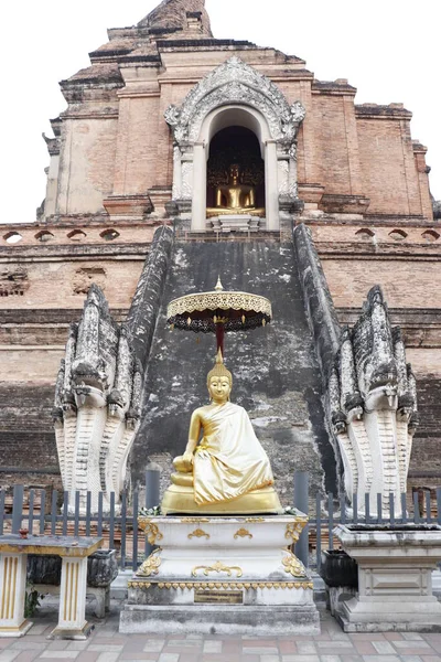 Thailand Det Chiang Mai Över Wat Chedi Luang Temple — Stockfoto