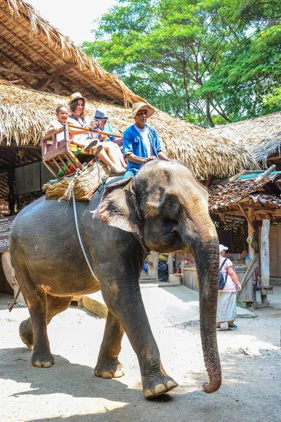 Thailand Chiang Mai Olifantenkamp Maetaman — Stockfoto