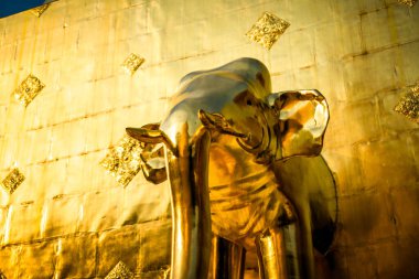 Tayland. Chiang Mai. Wat Phra Singh Tapınağı