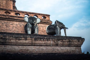 Tayland. Chiang Mai. Wat Chedi Luang Tapınağı