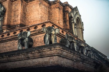 Tayland. Chiang Mai. Wat Chedi Luang Tapınağı