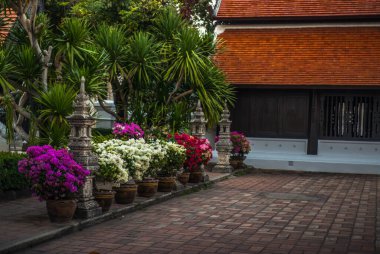 Tayland. Chiang Mai. Wat Chedi Luang Tapınağı