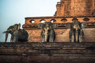 Tayland. Chiang Mai. Wat Chedi Luang Tapınağı